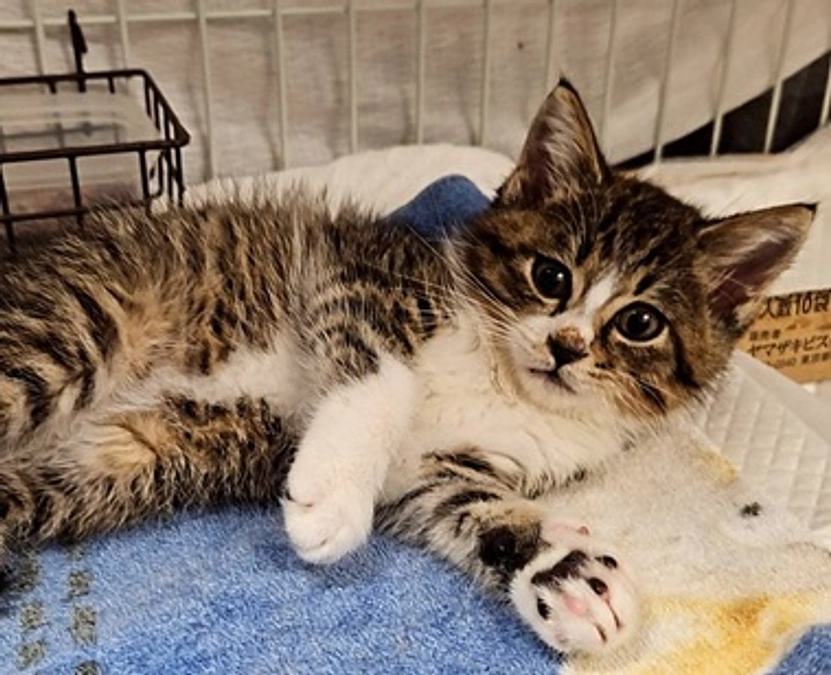 うりりん　がんばってます！