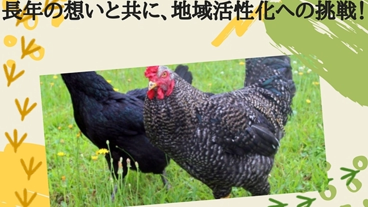 神奈川県で初めて開発に成功した「かながわ鶏」を普及させたい！
