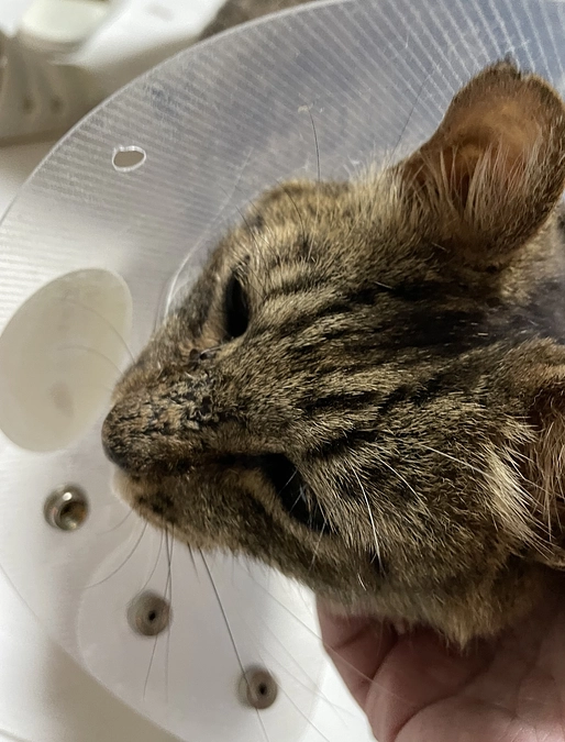 沢山の御支援感謝です！！