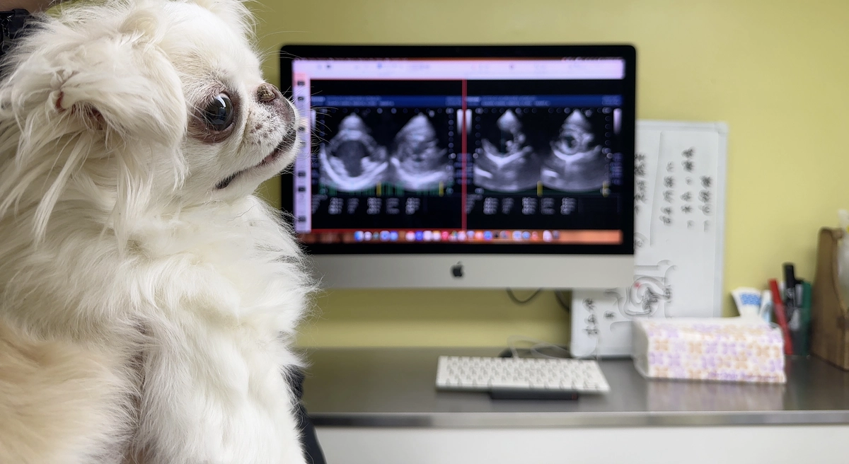 残り12日🐶❣️