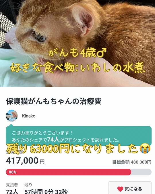 残りあと63000になりました🥲