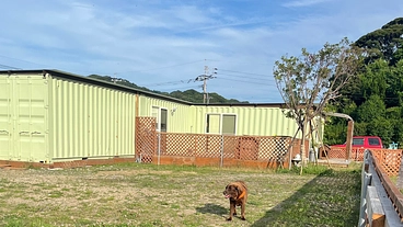 犬猫達の楽園、安心して暮らせる理想のホーム&シェルター設立応援募金 のトップ画像