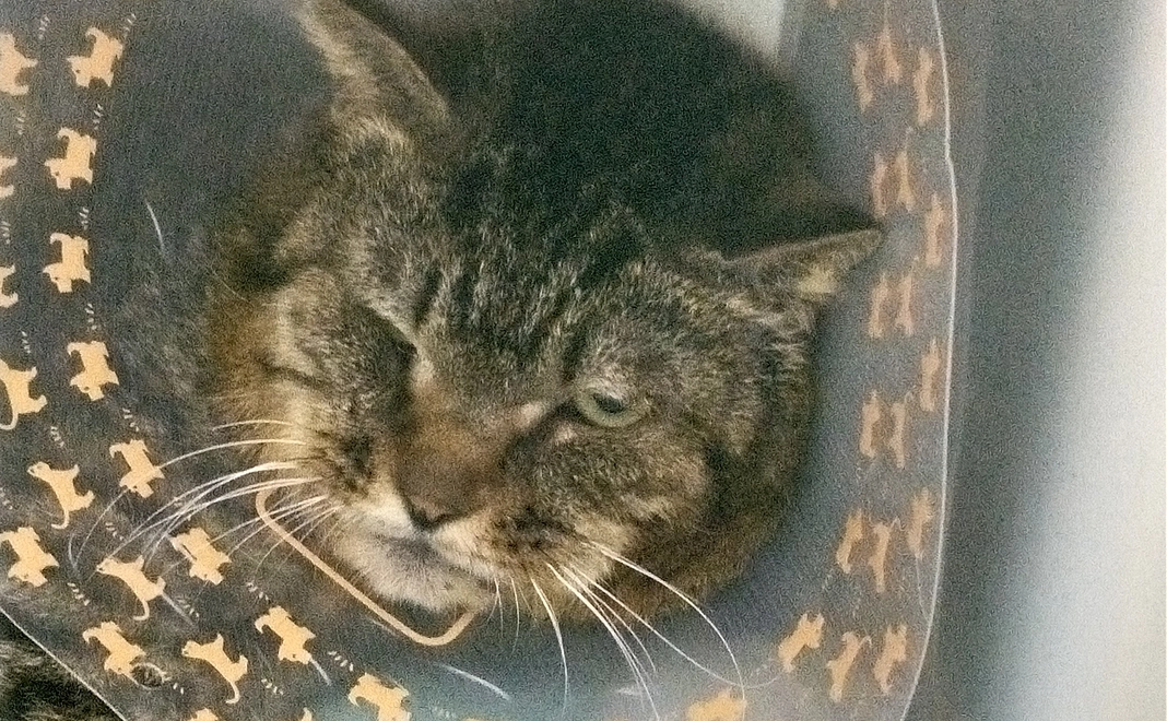 ご支援のお礼のメールをお送りします。