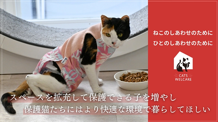 高齢猫、リスク猫も快適に暮らしてもらいたい～施設増設プロジェクト～