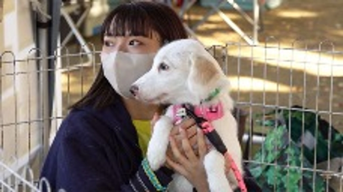 【ネクストゴールに挑戦中！東京での上映が決まりました！！】