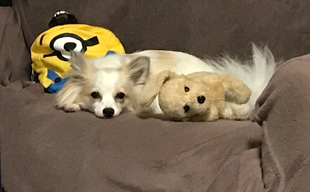 感謝のメール 4