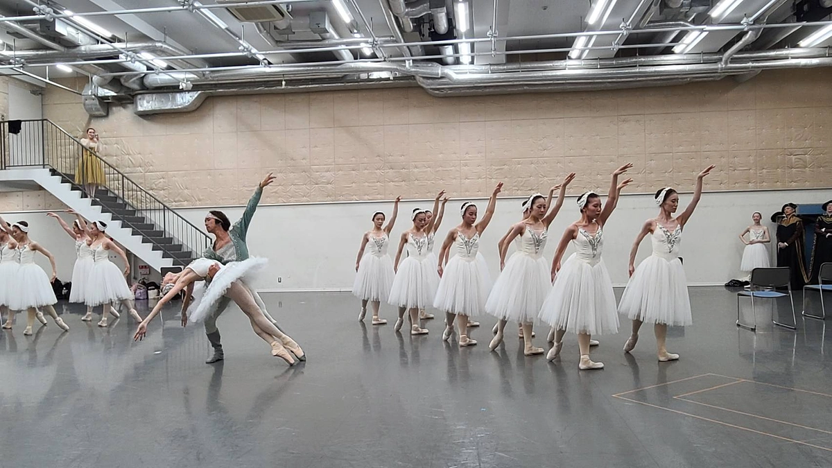 本番に向けて井上バレエ団７月公演「白鳥の湖」のリハーサルを重ねております