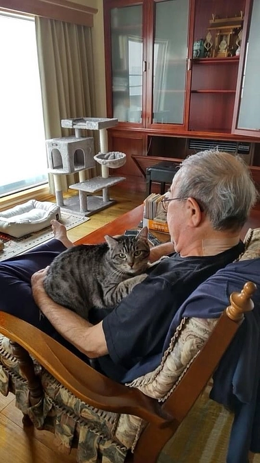 《永年預かり》という名の新しい猫との暮らし。