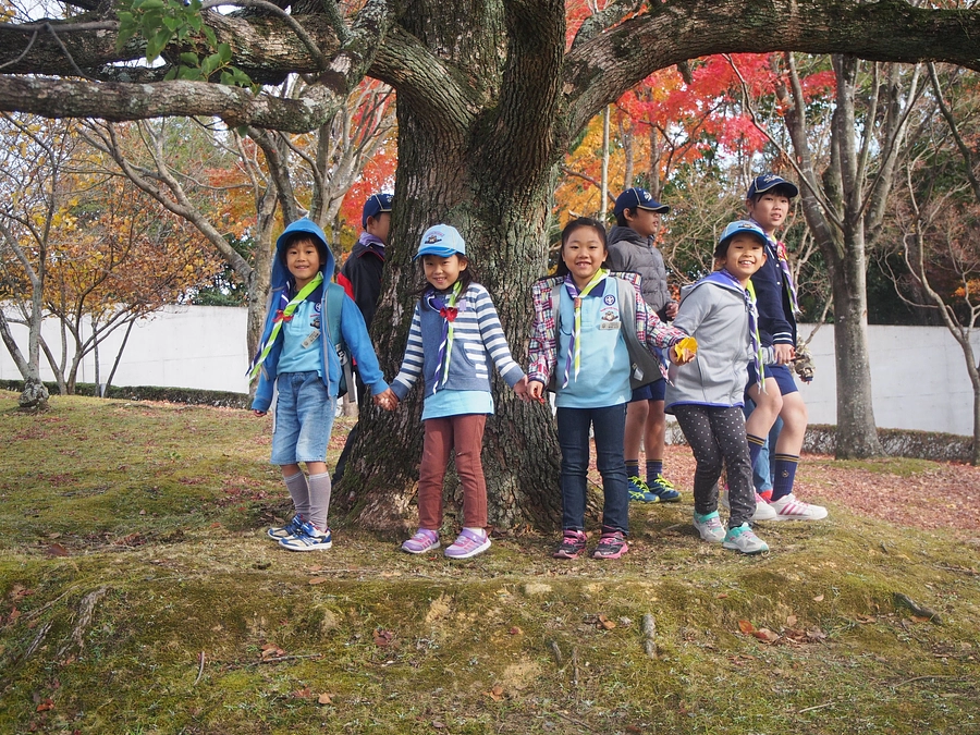 私たちの問題意識(1)　「体験活動」が子どもたちに与える可能性