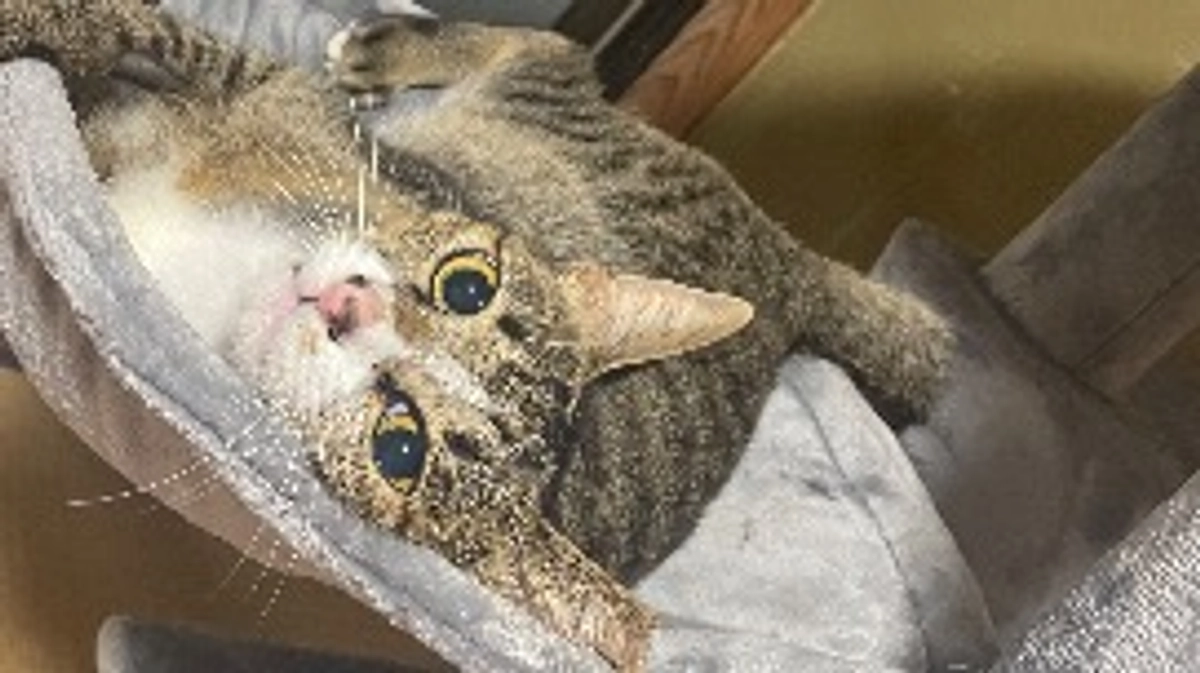 顎のワイヤーを抜きました。