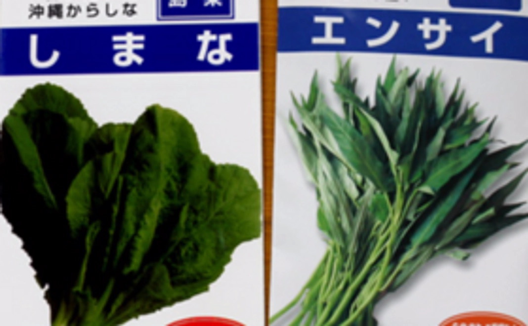 沖縄食材図鑑＆沖縄野菜の種