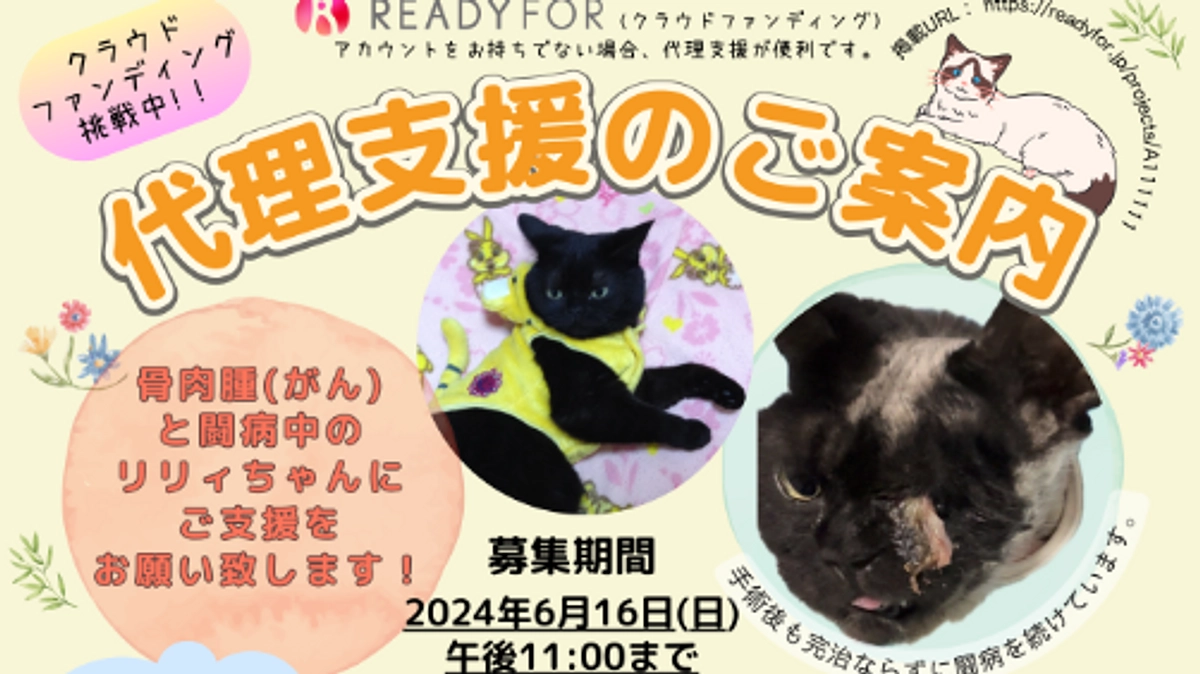 代理支援活動をスタートします！