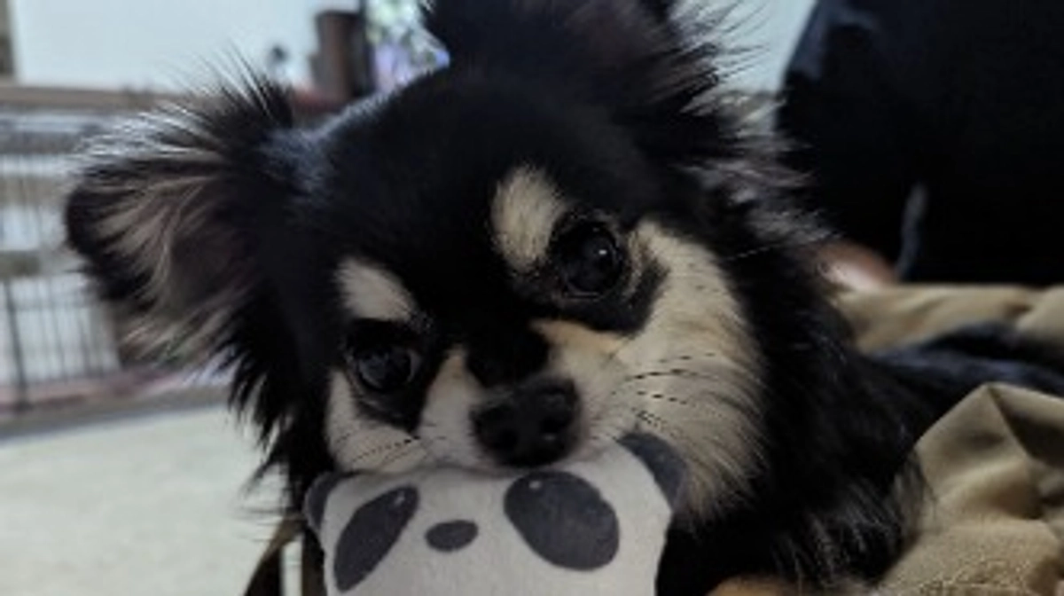 暑い日が続きますね…