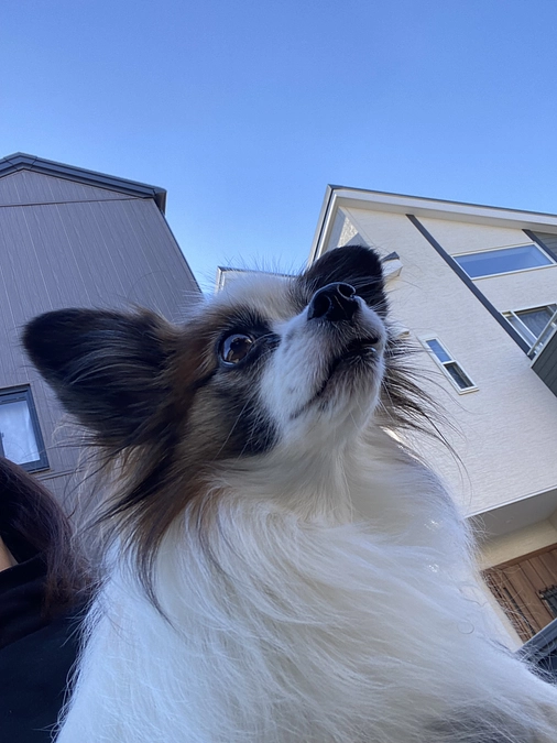 🧸代理支援を入金させて頂きました🧸