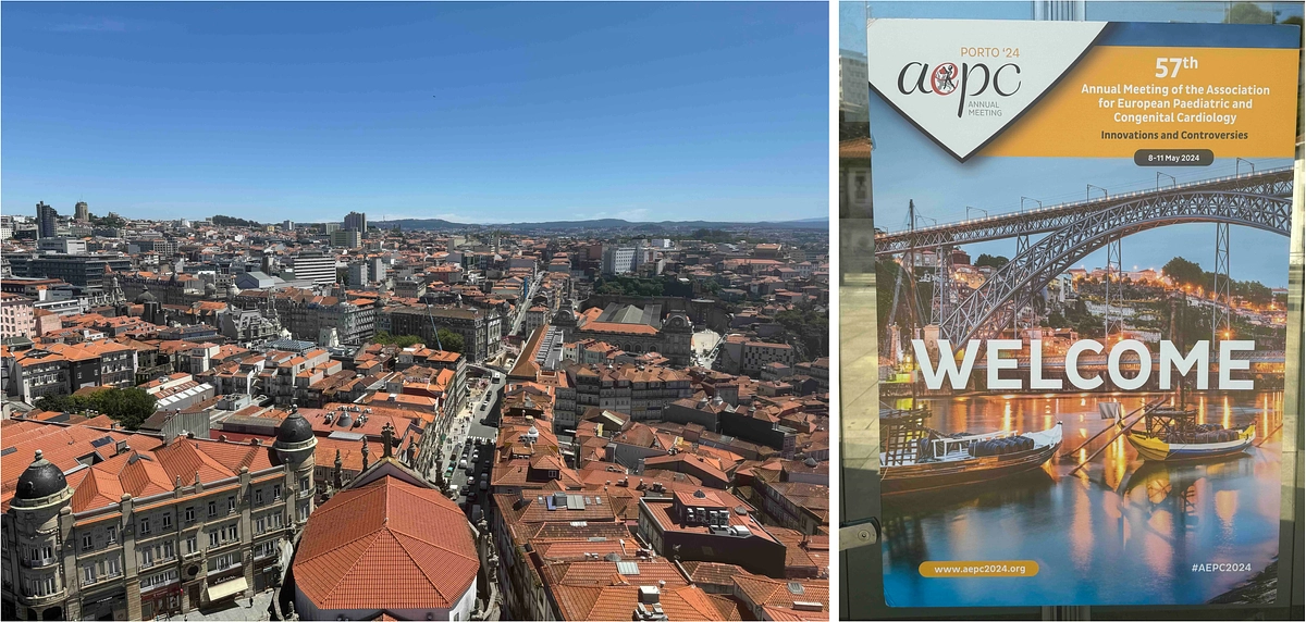 第57回欧州小児循環器学会において北大PICU班から2演題を発表しました！