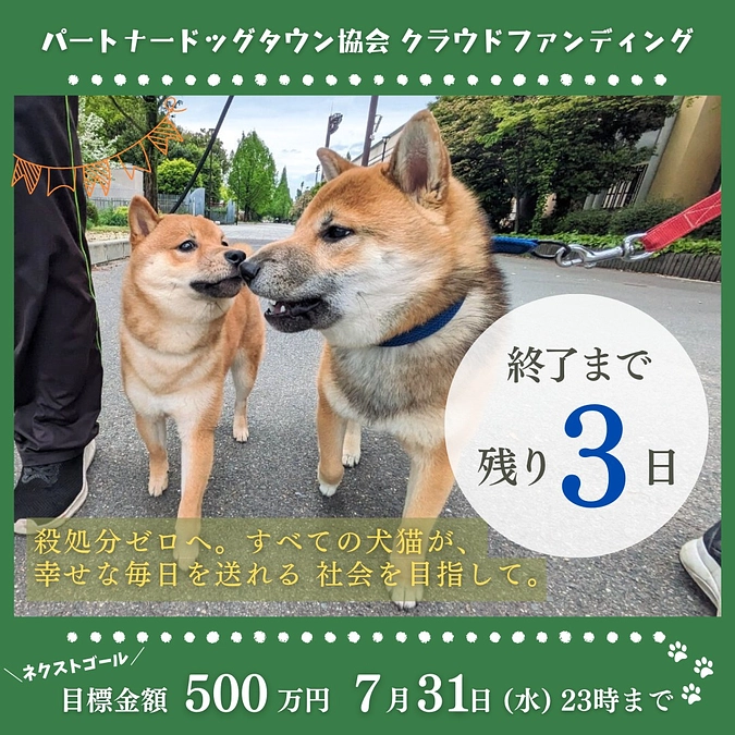 【クラファン終了まで残り3日】理事長望月が動物愛護に興味を持ったきっかけ