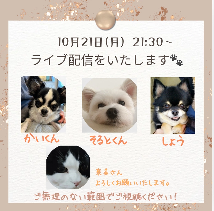 本日【10月21日(月)】Instagramにてコラボ配信いたします🐾