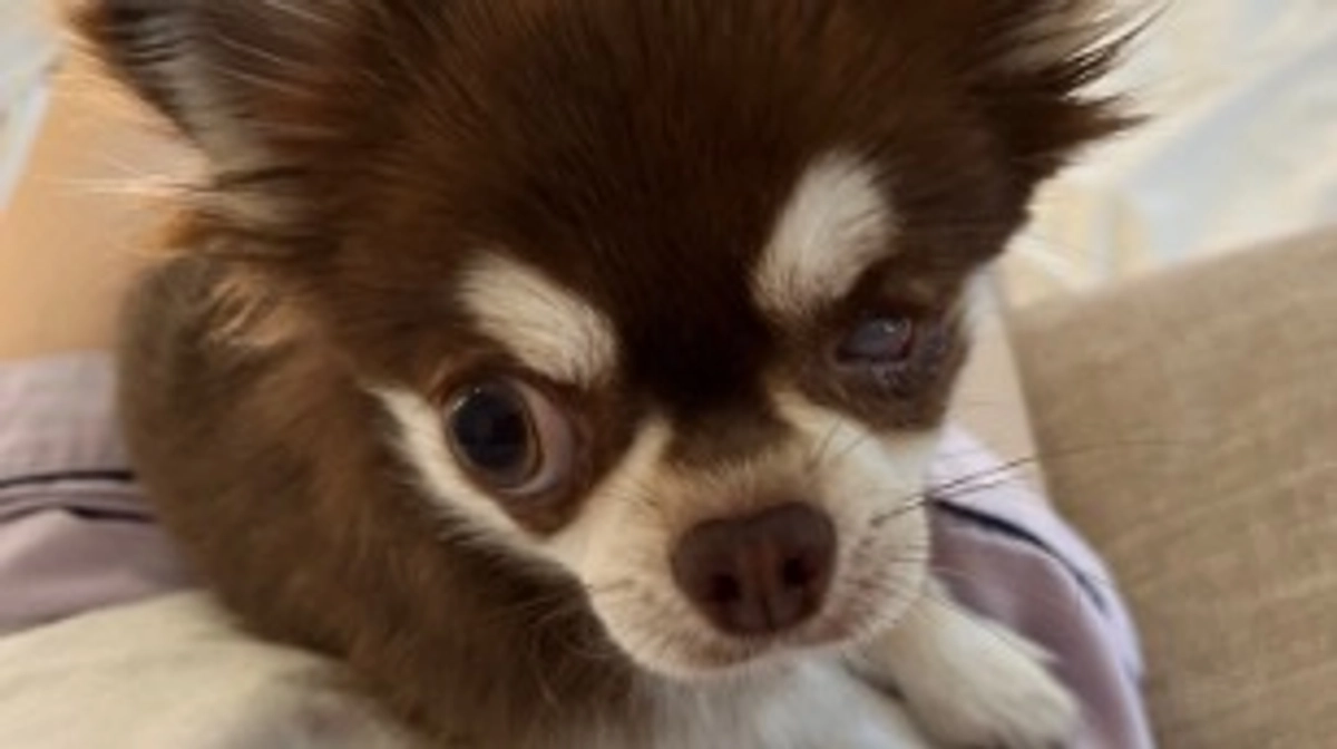 最終日…全ての皆様に感謝… ᐡ• ˕ •ᐡ