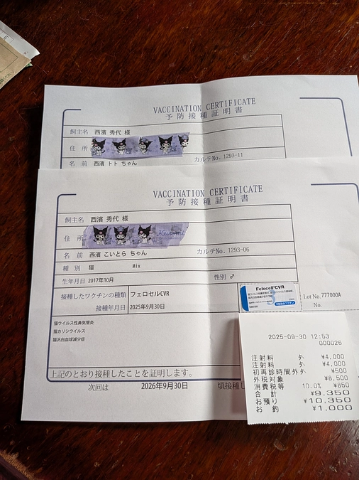 ワクチン接種💉