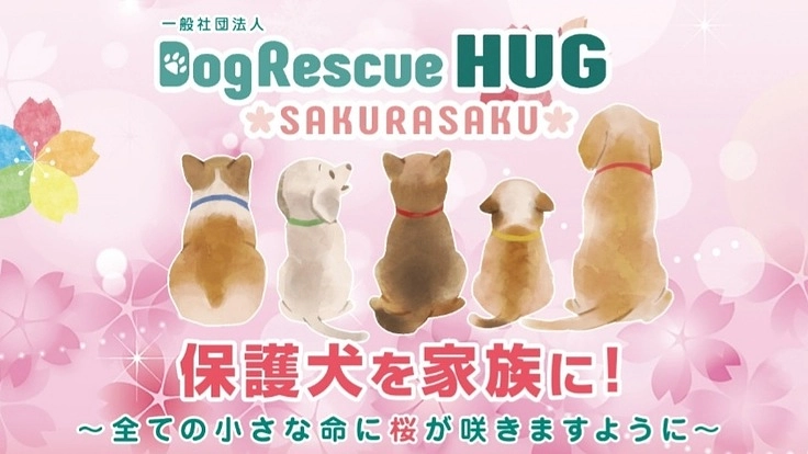 ドッグレスキューハグサポーター『桜を咲かせ隊』募集中！