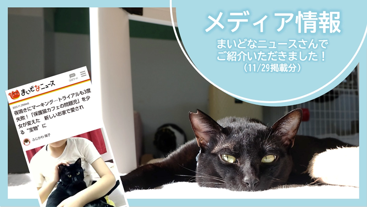 メディア情報｜まいどなニュースさんに取材いただきました！(11/29掲載分)