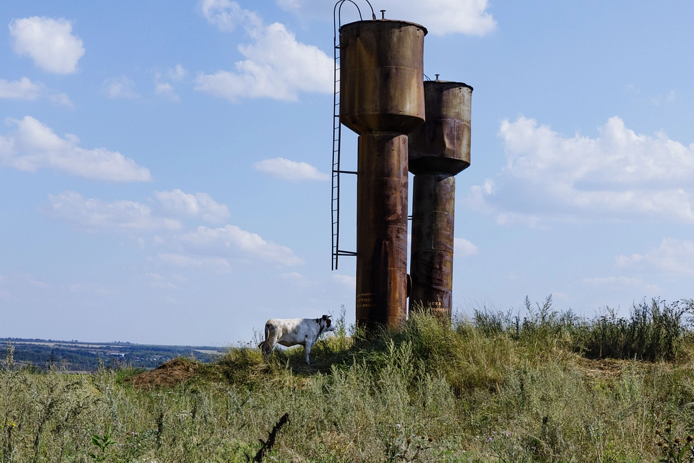2024年12月 進捗状況 　1年ありがとうございました
