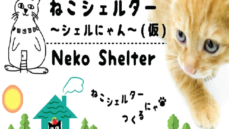 岐阜県の猫殺処分を0に！駅から徒歩5分の総合保護猫施設を開設！