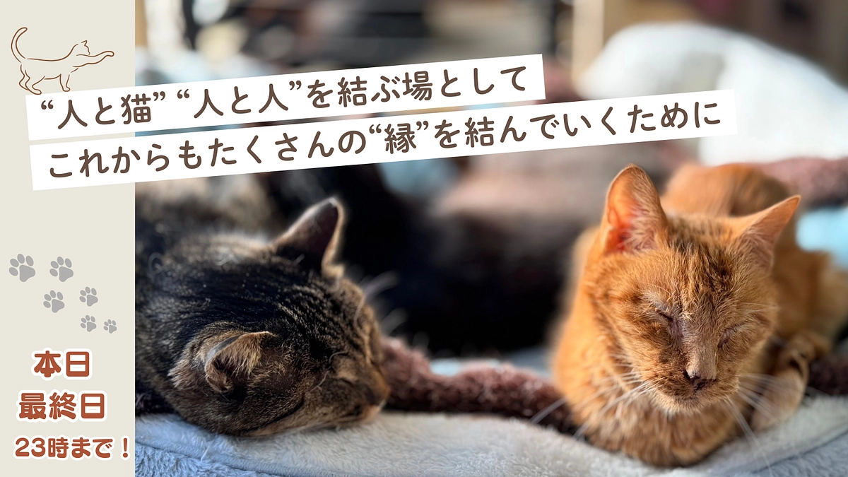 【いよいよ本日最終日｜ご支援受付は本日23時まで】