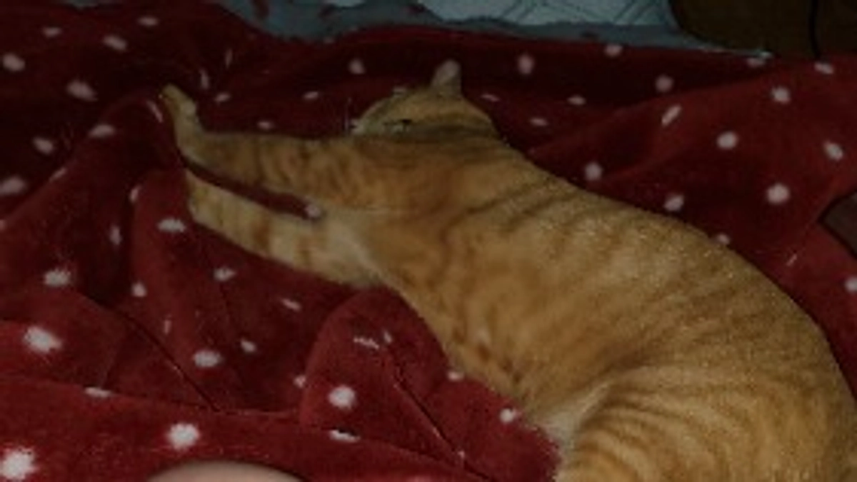 何よりの癒し☆