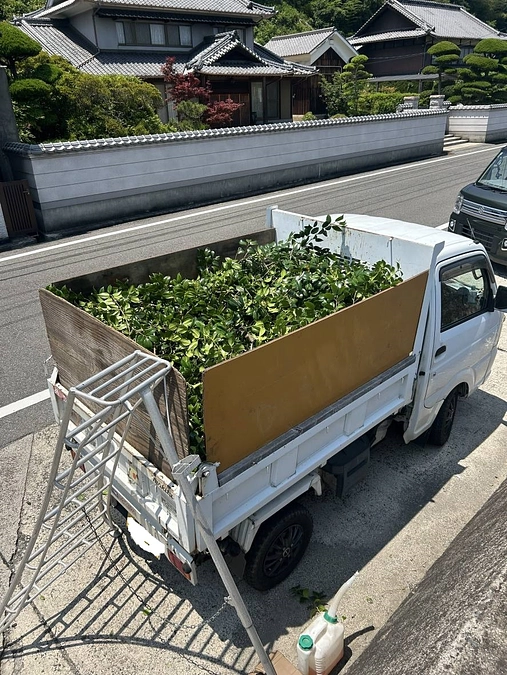 移転の進捗状況です。