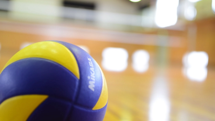 暴力問題の解決に向けて "教育・スポーツ文化研究所"の開設