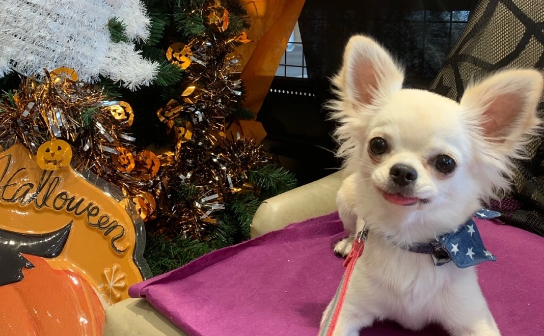 感謝のメールと活動報告3000