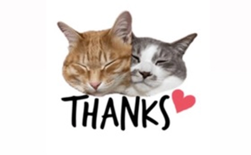 ‪✿感謝のメール2