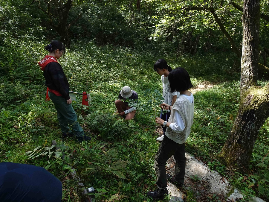 植物系統分類学実習が開講されました