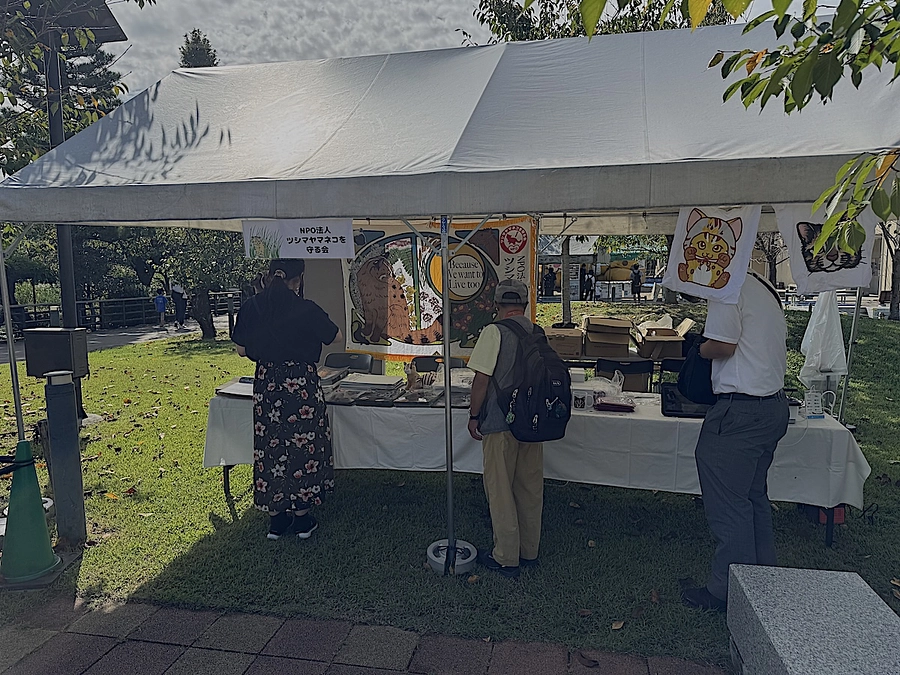 各動物園のヤマネコイベントに参加します。
