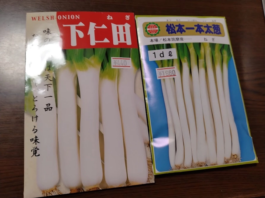 ネギを植えました！　～その１　種を用意しました！～