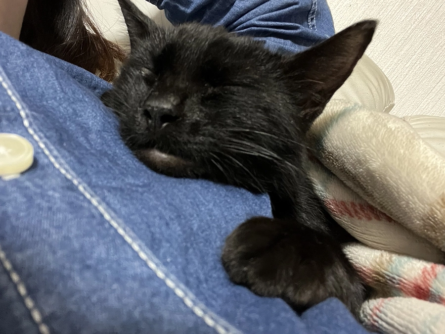 胃瘻除去＆避妊手術の抜糸が終了しました！