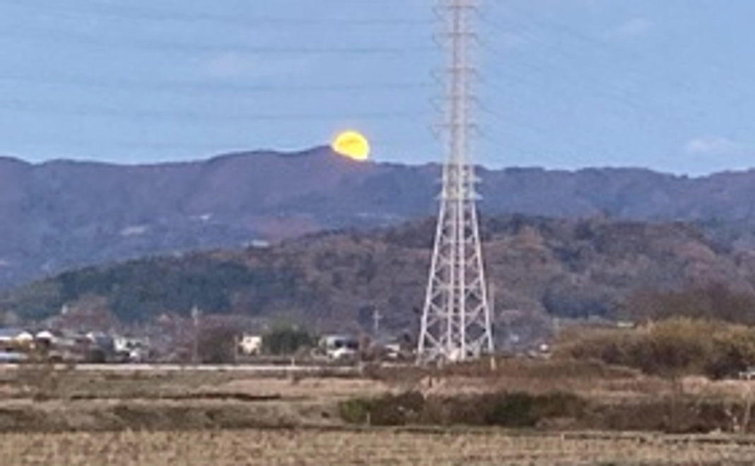 [10000円特別コース] 半夏生米を理解したので、応援しながら実際見て聞いてみて触れてみよう！