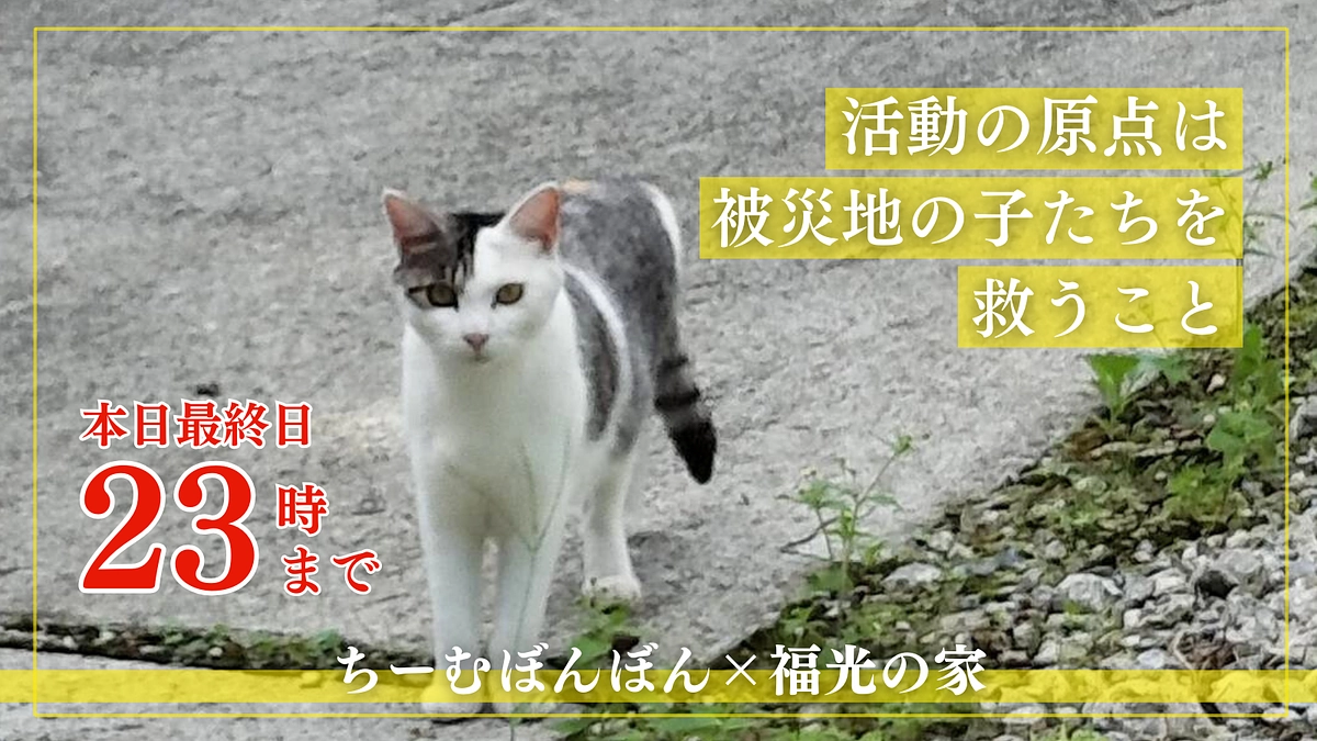 【本日最終日、23時まで】