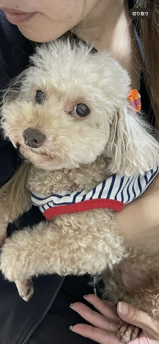 インスタライブのお知らせ