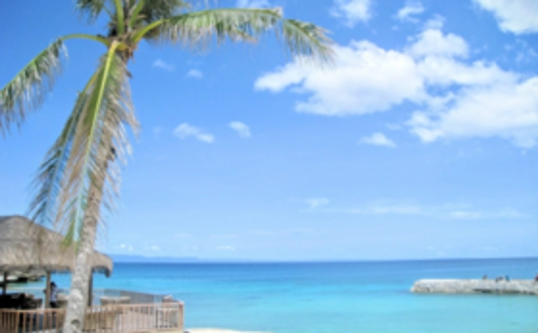 プロジェクトの様子を現地よりメールにてお届け