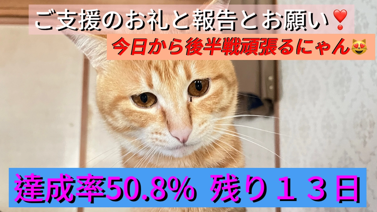ご支援のお礼と報告とお願い（3/15）