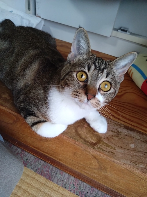 投薬終了まであと2日となりました！！