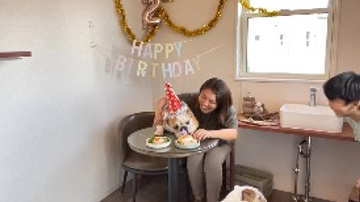 達成まであと半分🥹‼️皆さんに感謝🥲♡