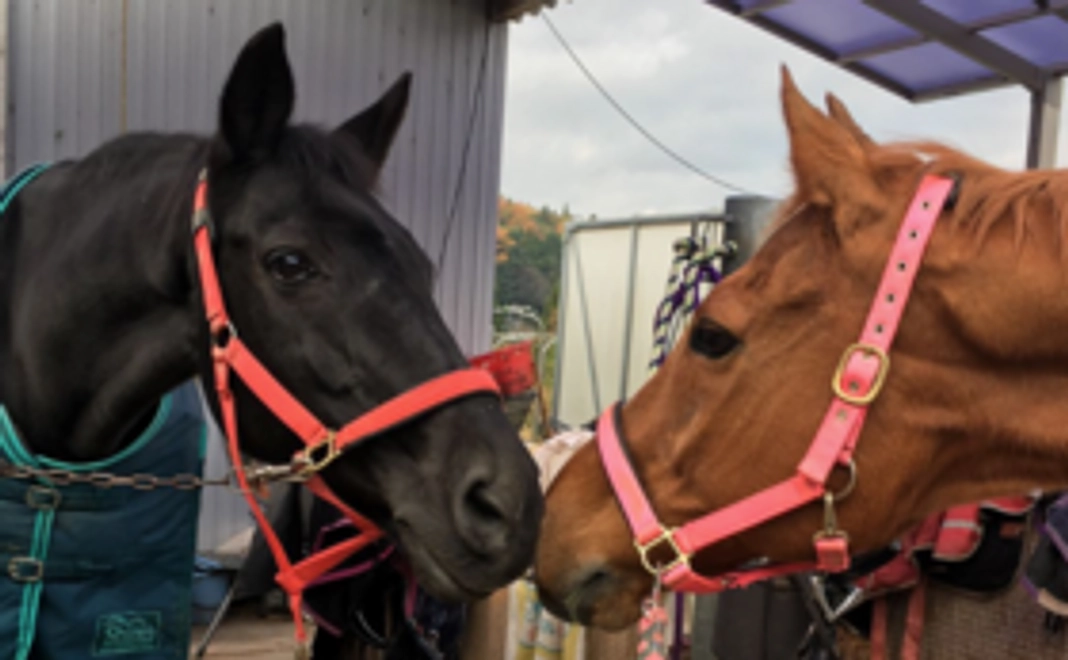 毎月応援10,000円コース