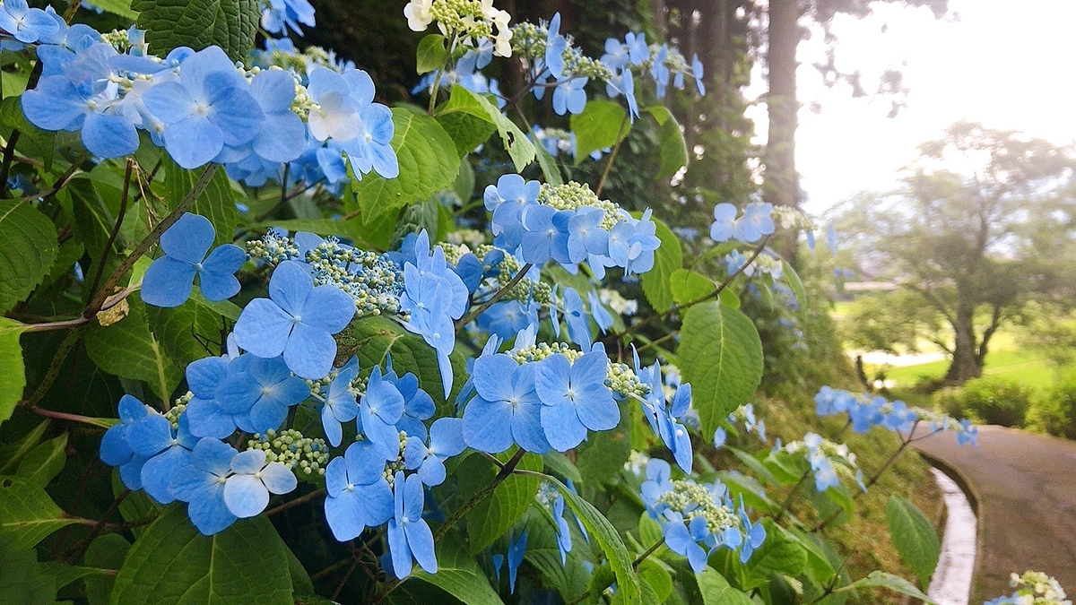 第一目標50万円達成のご報告！そして支援の輪をさらに大きく！