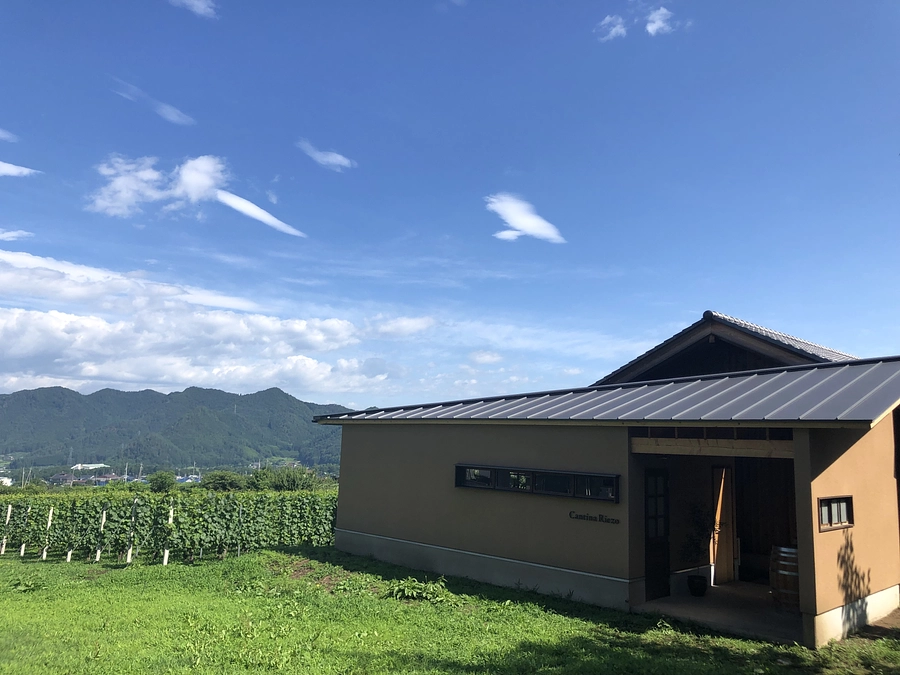 一般営業を開始いたします。