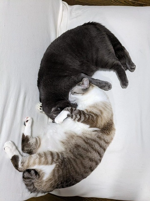 幸せになりました！