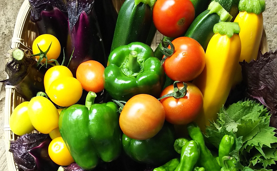 夏野菜セット