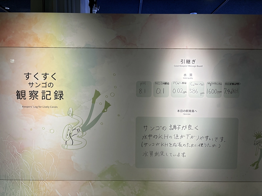 サンゴの飼育Ⅲ（水質編）